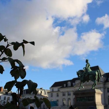 Le Scandinave, Proche Bord De Loire Orleans Bagian luar foto