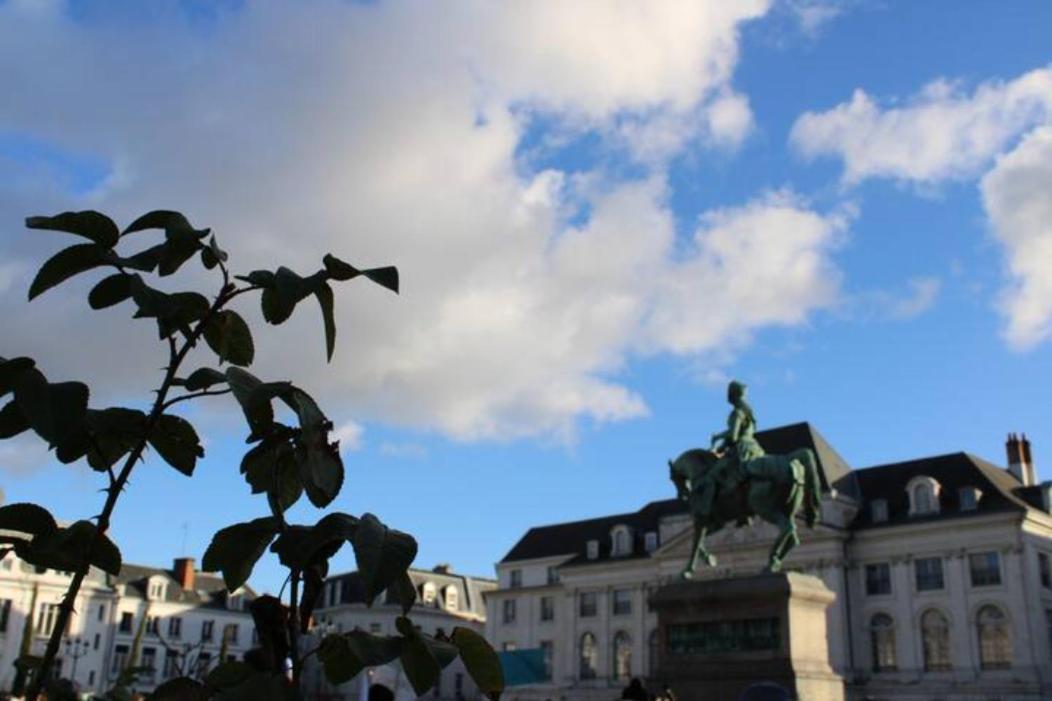 Le Scandinave, Proche Bord De Loire Orleans Bagian luar foto