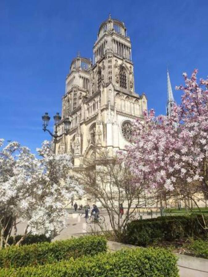 Le Scandinave, Proche Bord De Loire Orleans Bagian luar foto